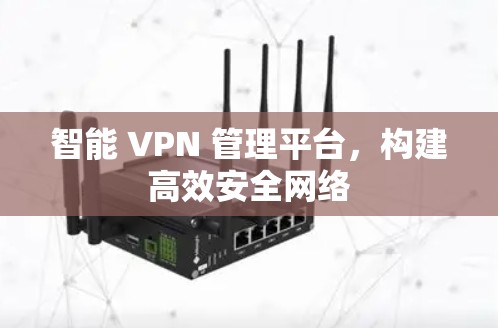 智能 VPN 管理平台,构建高效安全网络 智能 VPN 管理平台,构建高效安全网络