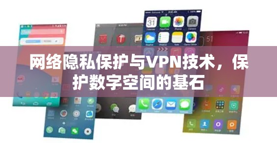 网络隐私保护与VPN技术,保护数字空间的基石 网络隐私保护与VPN技术,保护数字空间的基石