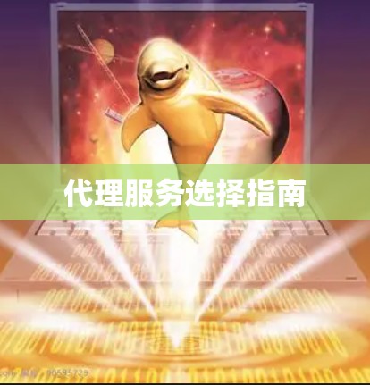 代理服务选择指南 代理服务选择指南