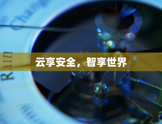 云享安全,智享世界 云享安全,智享世界