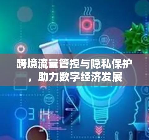 跨境流量管控与隐私保护,助力数字经济发展 跨境流量管控与隐私保护,助力数字经济发展