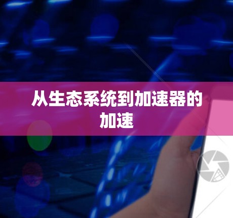 从生态系统到加速器的加速 从生态系统到加速器的加速