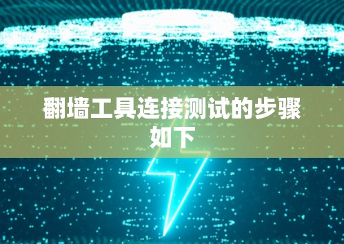 翻墙工具连接测试的步骤如下