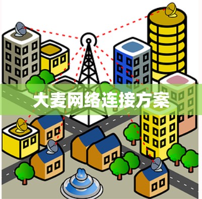 大麦网络连接方案 大麦网络连接方案