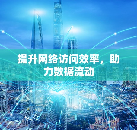 提升网络访问效率,助力数据流动 提升网络访问效率,助力数据流动