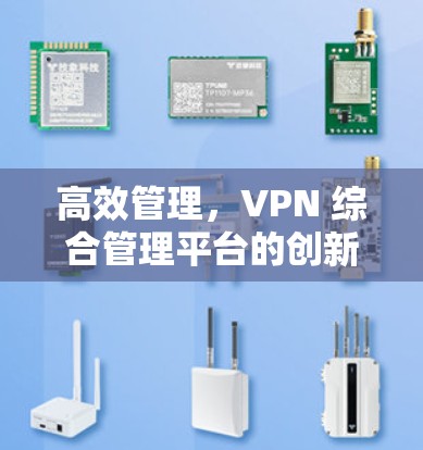 高效管理,VPN 综合管理平台的创新实践 高效管理,VPN 综合管理平台的创新实践