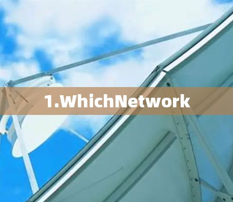 1.WhichNetwork 1.WhichNetwork
