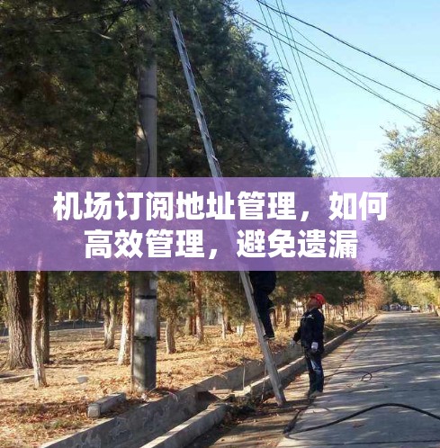 机场订阅地址管理,如何高效管理,避免遗漏 机场订阅地址管理,如何高效管理,避免遗漏