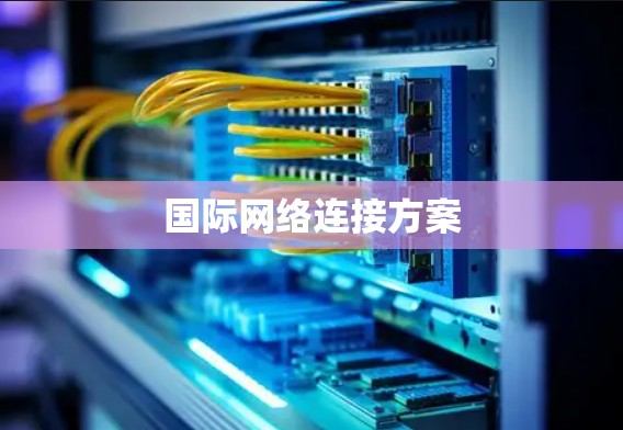 国际网络连接方案 国际网络连接方案