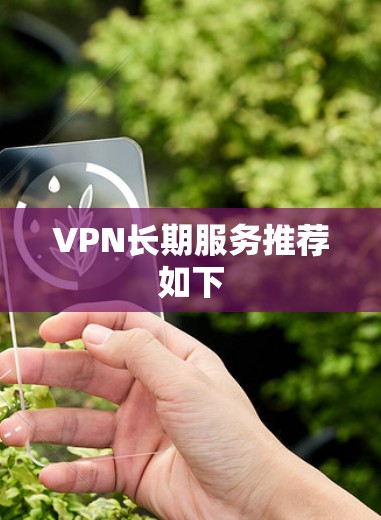VPN长期服务推荐如下