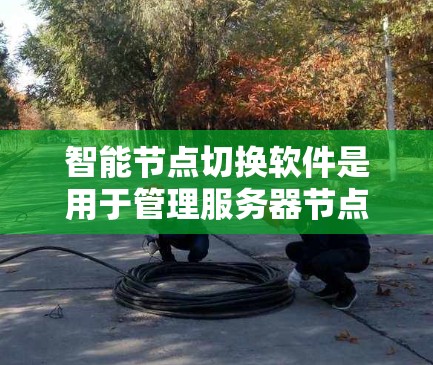 智能节点切换软件是用于管理服务器节点数量和配置的工具,旨在优化资源分配和提升服务器性能。以下是关于这种软件的详细总结 智能节点切换软件是用于管理服务器节点数量和配置的工具,旨在优化资源分配和提升服务器性能。以下是关于这种软件的详细总结