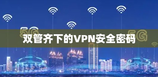 双管齐下的VPN安全密码 双管齐下的VPN安全密码