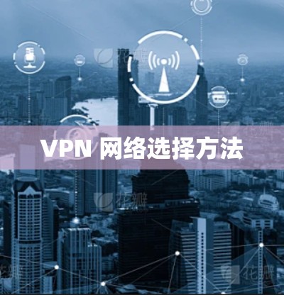 VPN 网络选择方法