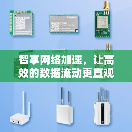 智享网络加速,让高效的数据流动更直观 智享网络加速,让高效的数据流动更直观