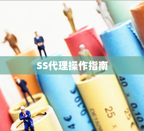 SS代理操作指南