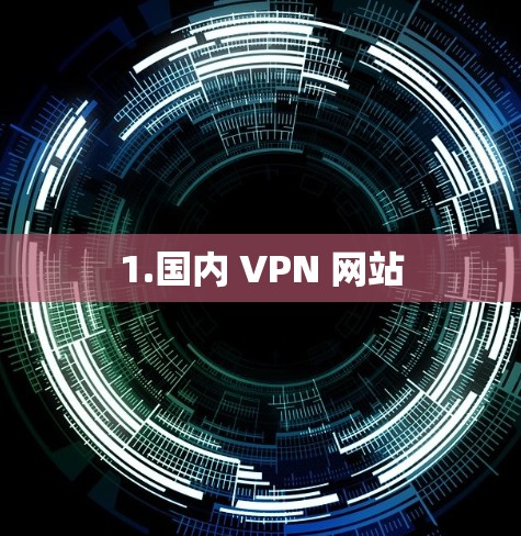 1.国内 VPN 网站 1.国内 VPN 网站