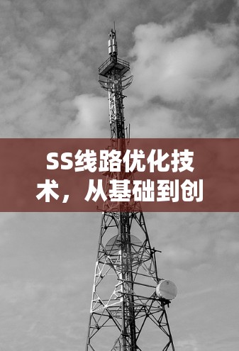 SS线路优化技术,从基础到创新 SS线路优化技术,从基础到创新