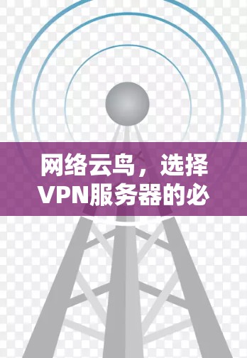 网络云鸟,选择VPN服务器的必备指南 网络云鸟,选择VPN服务器的必备指南