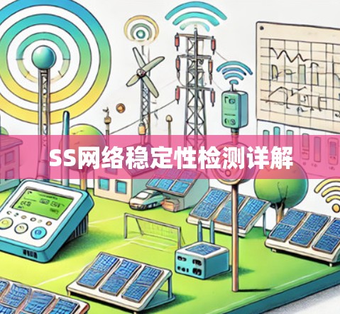 SS网络稳定性检测详解 SS网络稳定性检测详解