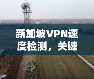 新加坡VPN速度检测,关键因素解析 新加坡VPN速度检测,关键因素解析