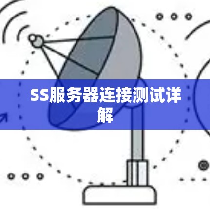 SS服务器连接测试详解