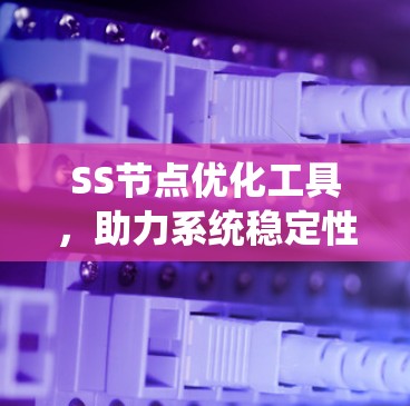 SS节点优化工具，助力系统稳定性提升