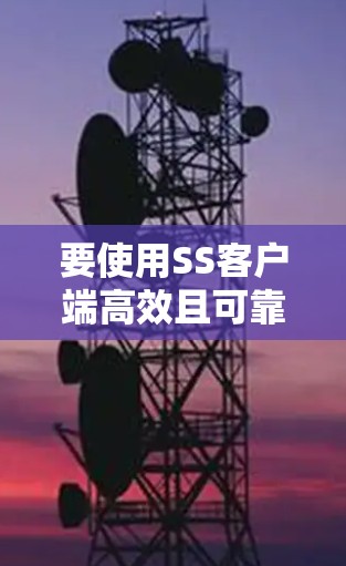 要使用SS客户端高效且可靠地管理SS盒子，可以按照以下步骤进行