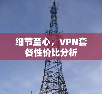 细节至心，VPN套餐性价比分析