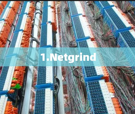 1.Netgrind