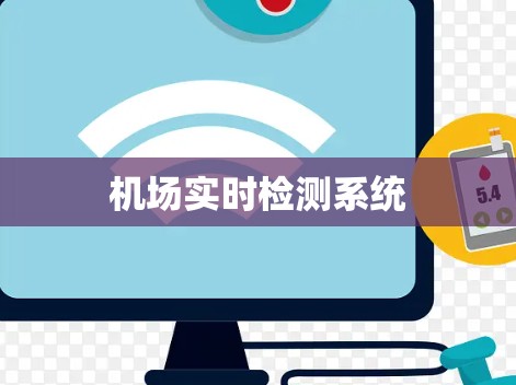 机场实时检测系统