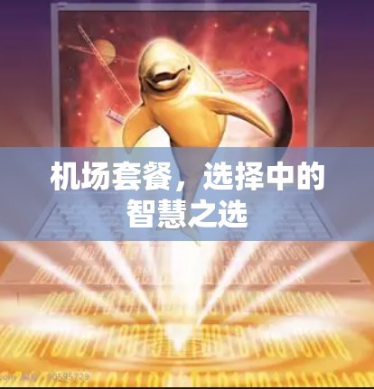机场套餐，选择中的智慧之选