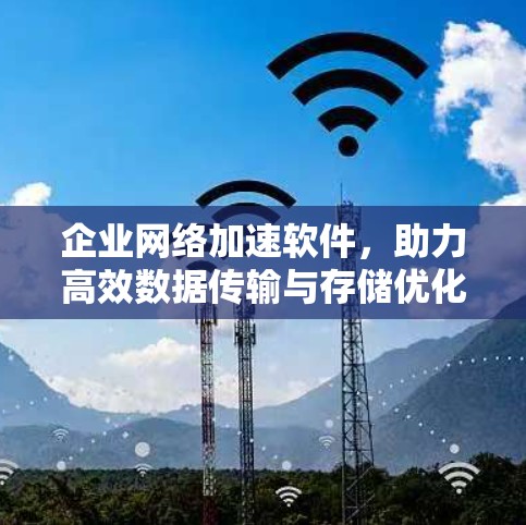 企业网络加速软件，助力高效数据传输与存储优化