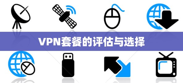VPN套餐的评估与选择