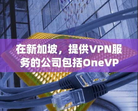 在新加坡，提供VPN服务的公司包括OneVPN、A2VPN和JioVPN等。以下是对这些公司特点的详细分析