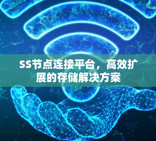 SS节点连接平台，高效扩展的存储解决方案