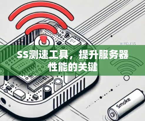SS测速工具，提升服务器性能的关键