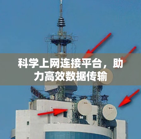 科学上网连接平台，助力高效数据传输