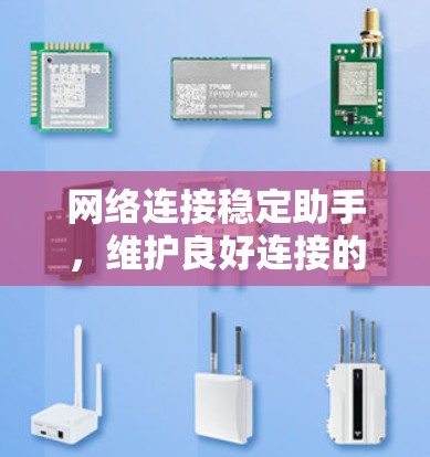 网络连接稳定助手，维护良好连接的必备工具