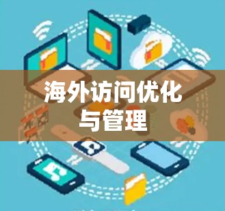 海外访问优化与管理