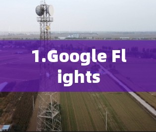 1.Google Flights
