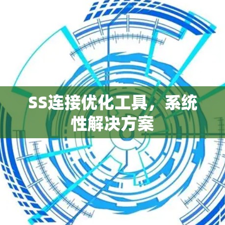 SS连接优化工具，系统性解决方案
