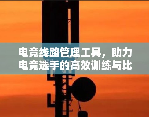 电竞线路管理工具，助力电竞选手的高效训练与比赛准备
