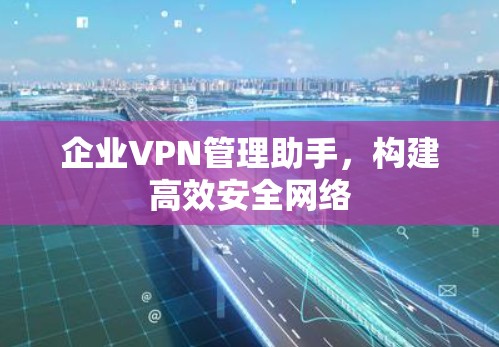 企业VPN管理助手，构建高效安全网络