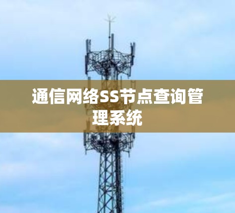 通信网络SS节点查询管理系统