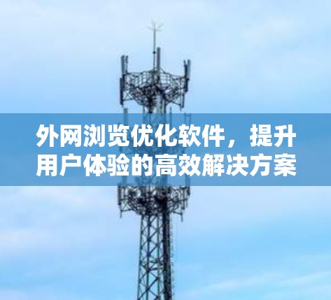 外网浏览优化软件，提升用户体验的高效解决方案