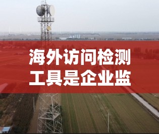 海外访问检测工具是企业监控员工访问行为的重要手段，用于找出违规或恶意行为，确保合规和安全。以下是详细的总结