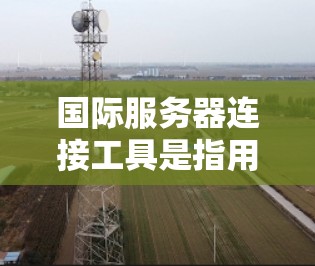 国际服务器连接工具是指用于连接到国际互联网的工具，这些工具通常是为了访问其他国家或地区的服务器或应用程序。以下是一些常见的国际服务器连接工具及其特点
