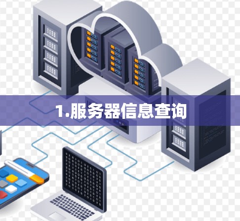 1.服务器信息查询