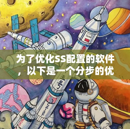 为了优化SS配置的软件，以下是一个分步的优化策略