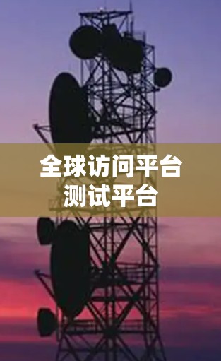 全球访问平台测试平台